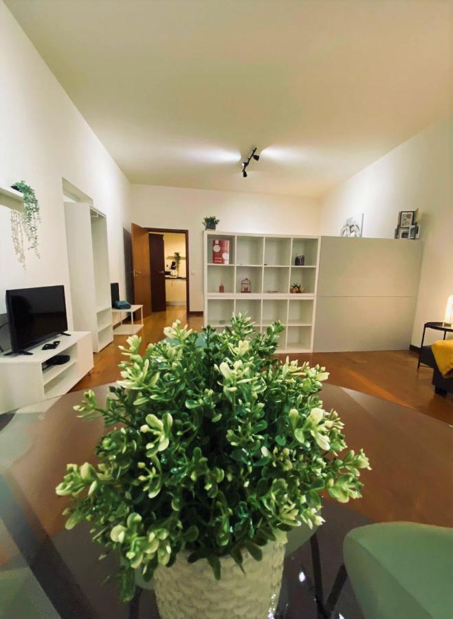 Studio A Zona Historica Clerigos ปอร์โต ภายนอก รูปภาพ